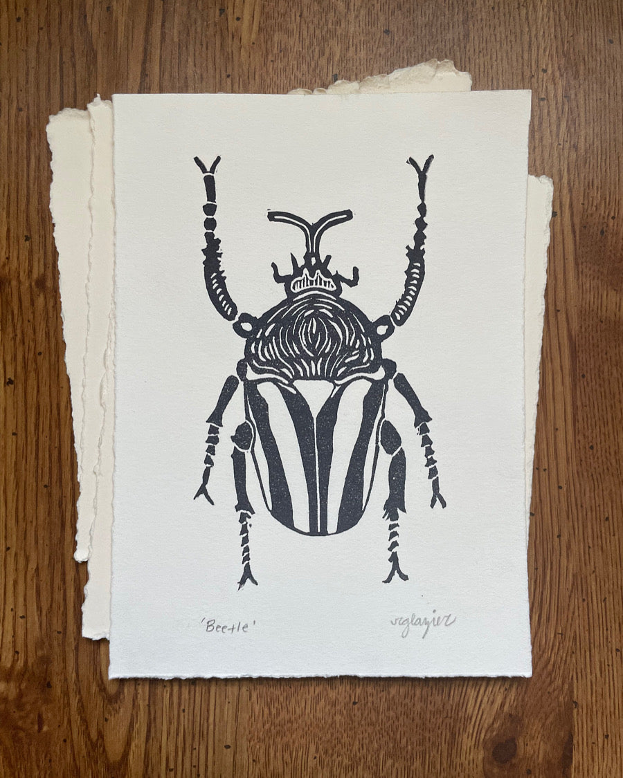 Beetle