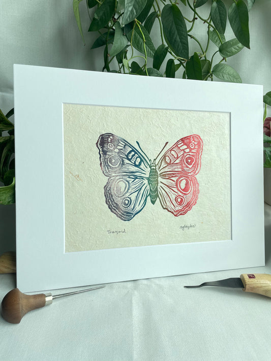 Rainbow Butterfly matted to 8x10”